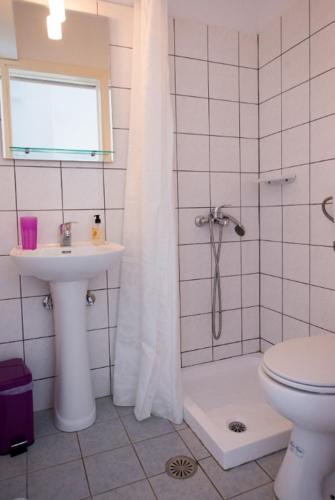 a bathroom with a shower and a toilet and a sink at Katapola Vekris apartments in Katapola