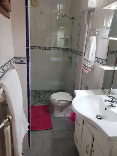 Koupelna v ubytování ApartF32020
