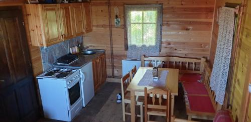 een keuken met een fornuis en een tafel in een huisje bij Brvnara Jovicic in Divčibare