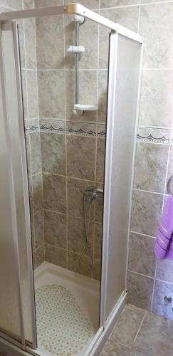 a shower with a glass door in a bathroom at Brvnara Jovicic in Divčibare