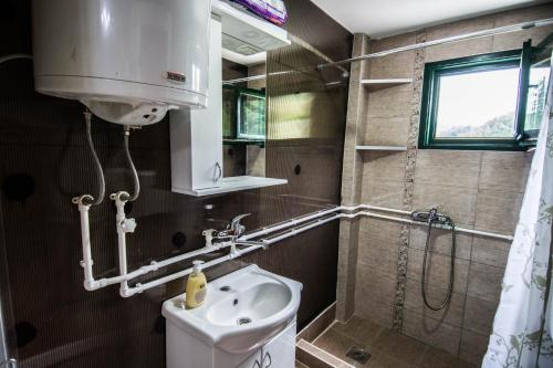 a bathroom with a toilet and a sink and a shower at Vajat Tuk in Bajina Bašta