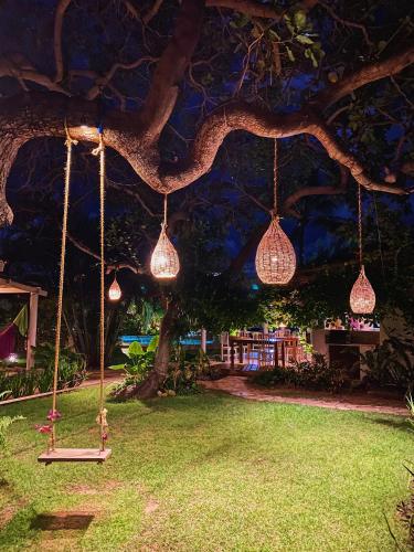 a swing in a yard with lights hanging from a tree at Pousada Ilha do Vento in São Miguel do Gostoso