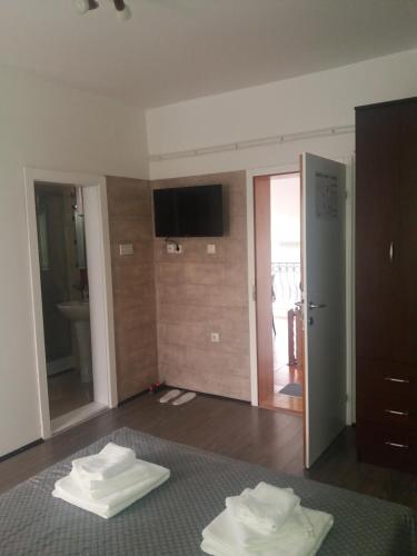 TV a/nebo společenská místnost v ubytování Studio apartmani Sofija