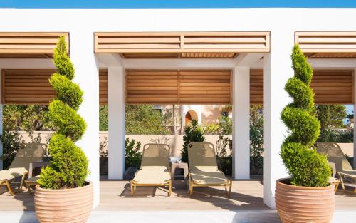 Κήπος έξω από το Dedalos Hotel