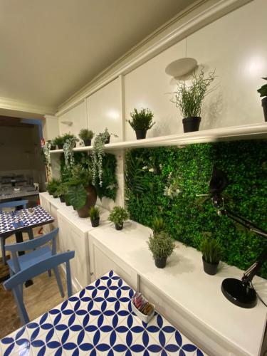 a room with a green wall with potted plants at Allegroitalia San Gallo Firenze in Florence