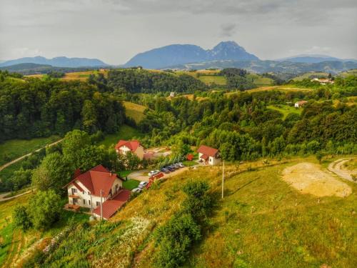 an aerial view of a house on a hill at Pensiunea 7 Brazi II in Poiana Mărului