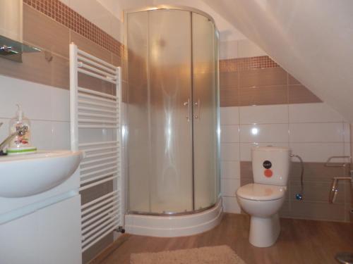 ein kleines Bad mit WC und Waschbecken in der Unterkunft Zámeček Zdíky - Moderní malý apartmán in Bujanov