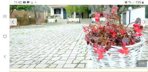 a basket filled with red flowers on a brick ground at ARBI case vacanze in Mattinata