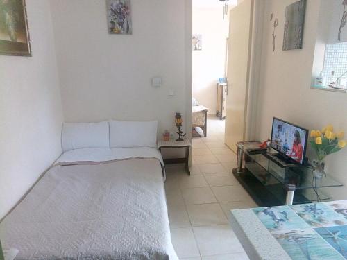 Diogenis cosy apartment Lefkada 35m2