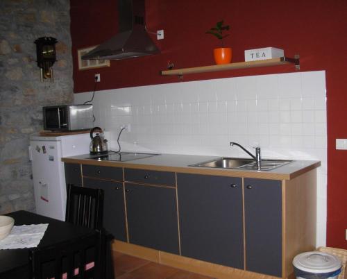 a small kitchen with a sink and a refrigerator at La Llosa Rodré in Guimarán