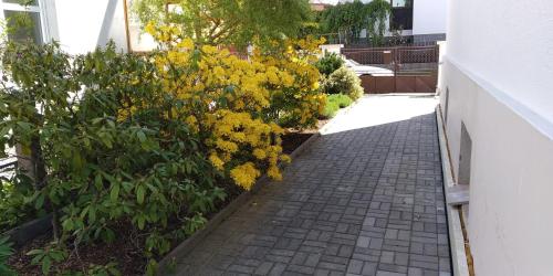 a sidewalk with yellow flowers next to a building at Apartment Dream in Františkovy Lázně