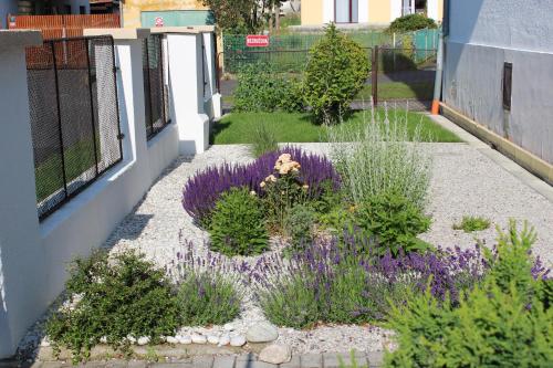 a garden with purple flowers and plants next to a building at Apartment Dream in Františkovy Lázně