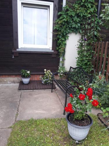 Zahrada ubytování Gaujas apartaments