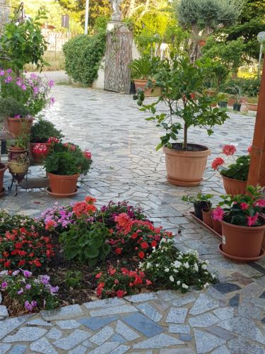 einen Garten mit Blumen und Pflanzen in Töpfen in der Unterkunft La tenuta di panfilo in Paglieta