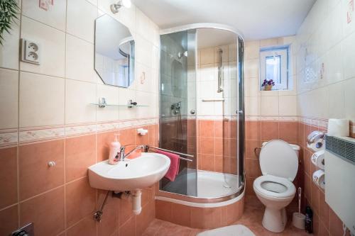 a bathroom with a shower and a sink and a toilet at Apartmány Tamír in Liptovský Mikuláš