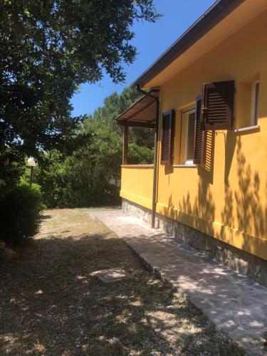 a yellow house with a tree next to it at Appartamenti Sterlizia 2 in Lacona