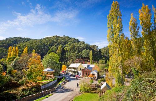 an aerial view of a small town with trees at Walhalla's Star Hotel in Walhalla
