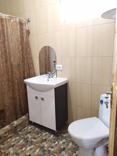 ein Bad mit einem Waschbecken und einem WC in der Unterkunft Лукі in Switjas