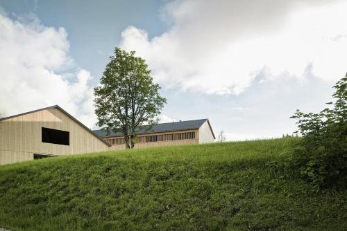 a house on top of a hill with a tree at Fuchsegg Eco Lodge in Egg