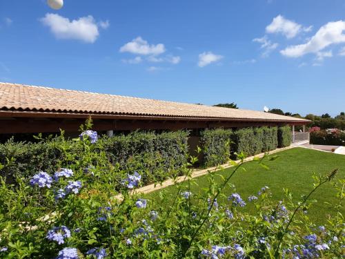 Gallery image of Agliadò in Platamona