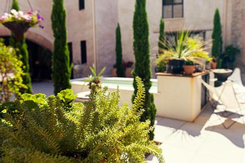 un jardin avec des plantes en pot sur une terrasse dans l'établissement El pati, à Thuir