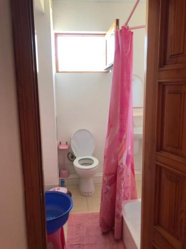 a bathroom with a toilet and a pink shower curtain at Guest House Livadiya in Livadiya