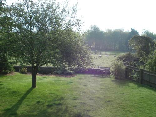 un parc avec un banc et un arbre dans l'herbe dans l'établissement Well Cottage B and B, à Cirencester