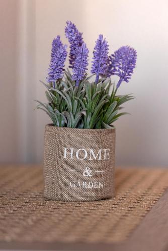 a pot of purple flowers sitting on a table at Panorama Rooms in Anafi