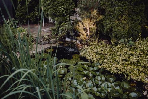 an overhead view of a pond in a garden at Vila Missy in Deva