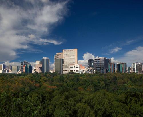 a city skyline with tall buildings and trees at Hyatt Regency Mexico City in Mexico City