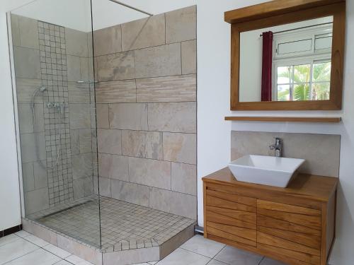 bagno con doccia, lavandino e specchio di Hotel CHEZ PAPA DAYA a Saint-Pierre