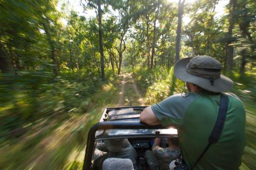 a man and two children riding in a jeep in the woods at Tiger Tops Karnali Lodge in Bardia