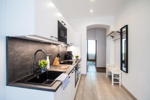 a kitchen with a sink and a counter at Apartment Enenkelstrasse in Vienna