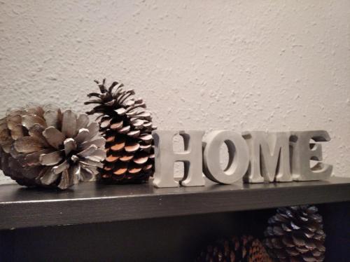 a shelf with a home sign and two pine cones at Casa Noell in León
