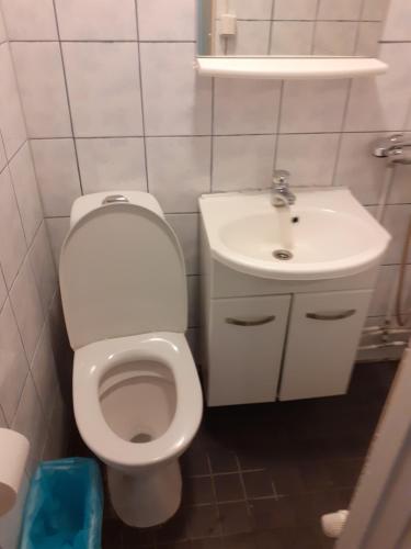 La salle de bains est pourvue de toilettes et d'un lavabo. dans l'établissement huoneisto 2, à Savonlinna