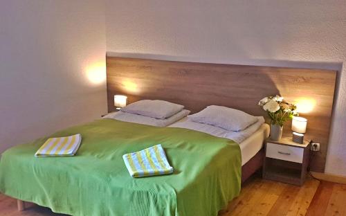 a bedroom with a green bed with two pillows on it at Apartament Zieleniec in #N/A