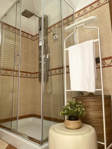 a bathroom with a shower with a plant on a stool at Green Room in Aversa