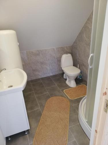 a bathroom with a toilet and a sink at VĖJO16 in Biržai