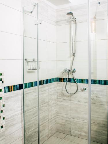 a shower with a glass door in a bathroom at Kaszubskie Zacisze in Władysławowo