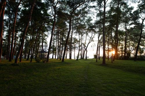 a group of trees in a park with the sun setting at Apartamenty Na Klifie Przystań 18 Chłapowo in Władysławowo