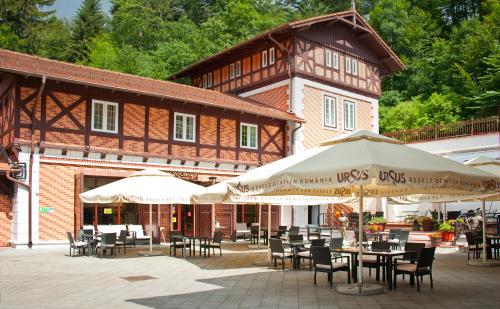 Gallery image of Hotel Bastion in Sinaia