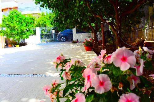 Φωτογραφία από το άλμπουμ του Anemoss Saranti σε Paralia Saranti