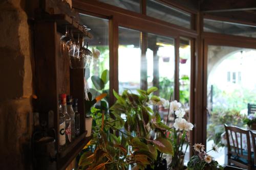 une pièce avec une fenêtre et un bouquet de plantes dans l'établissement Turkish Cave House, à Ortahisar