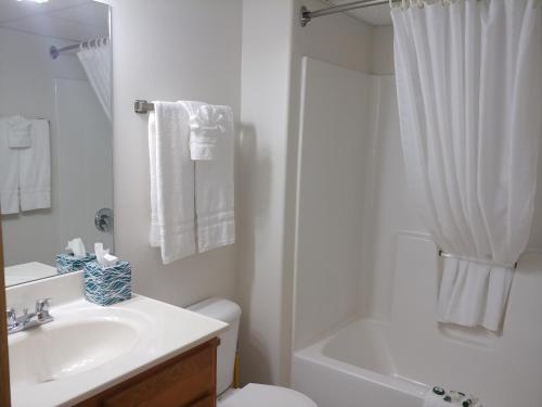 y baño con lavabo, aseo y ducha. en Nauvoo Vacation Condos and Villas, en Nauvoo