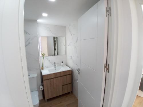 ein Badezimmer mit einem Waschbecken, einem WC und einem Spiegel in der Unterkunft Piso Reconquista in Oviedo