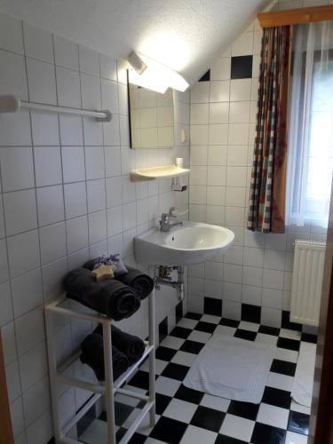 ドナースバッハヴァルトにあるBase-Camp Appartementのバスルーム(シンク付)が備わります。