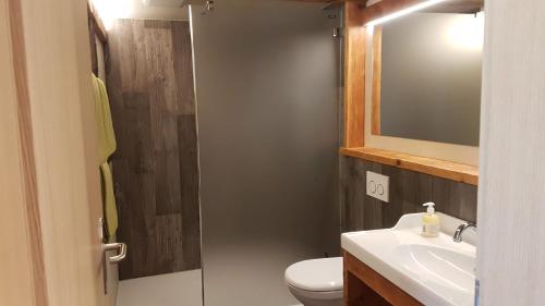 a bathroom with a toilet and a sink and a mirror at Chalet bei der Arve in Grindelwald