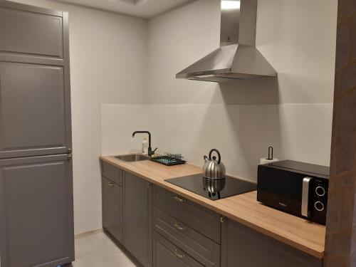 a kitchen with a counter with a sink and a microwave at SECESJA HOUSE in Oświęcim