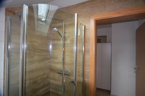 een douche met een glazen deur in de badkamer bij Ferienwohnung Brandstätter in Windischgarsten