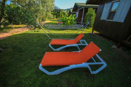 two chairs sitting on the grass in a yard at Cirali Zakkum Bungalow in Cıralı